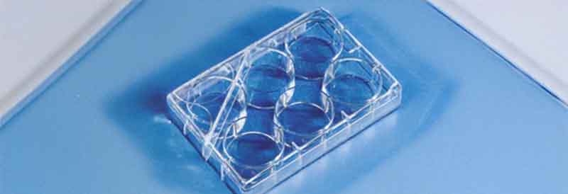 Contec™ Sterile IPA