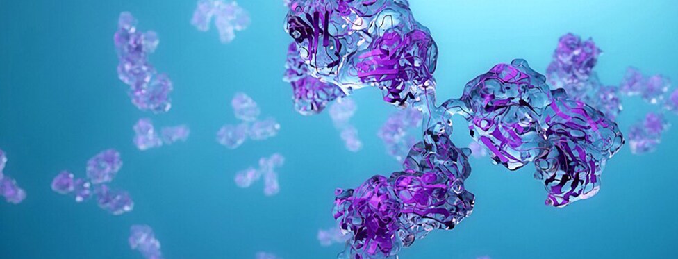 Antibody Applications