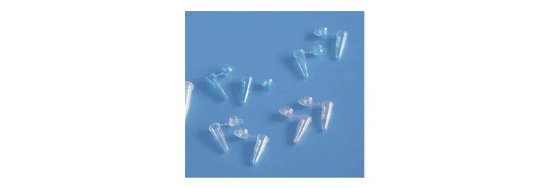 Fisherbrand™ 0.2mL PCR Tubes