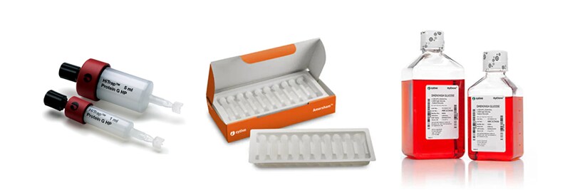 Isolation and Sequencing/Genomics