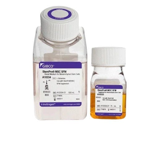 24985_Merch_P2_Product3