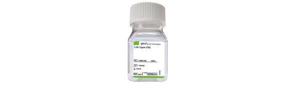 Gibco™ Trypsin (2.5%), no phenol red