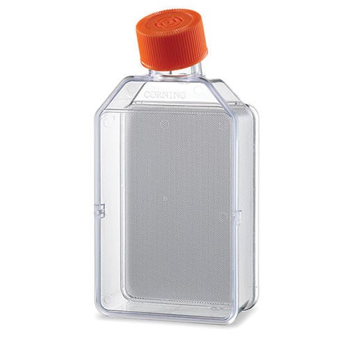 Corning Flask