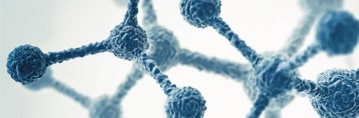 Should You Use Digital or Real-Time PCR?