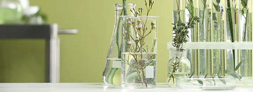 Chemical, Performance Materials (PFM) and Cosmetic