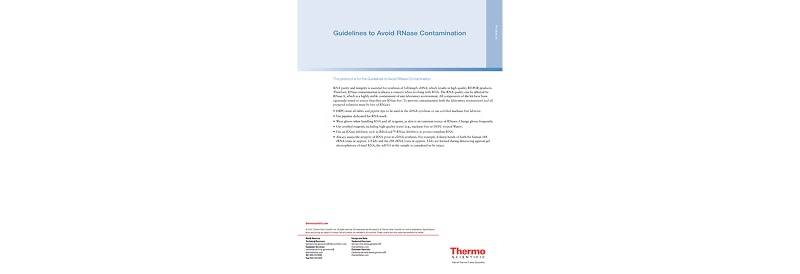 Guidelines to Avoid RNase Contamination