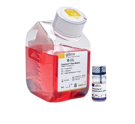 24985_Merch_P2_Product2