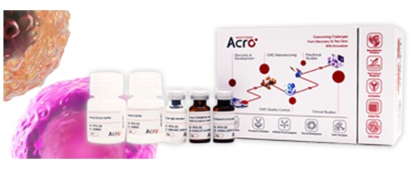 One-stop Cell Line Solutions
