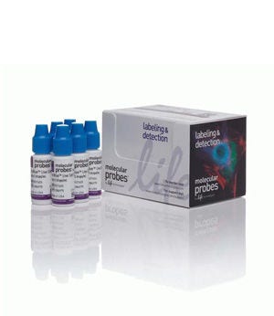 Invitrogen™ NucBlue™ Live ReadyProbes™ Reagent