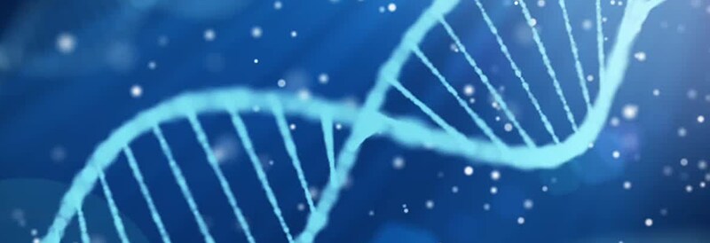 Custom DNA Oligos Tool