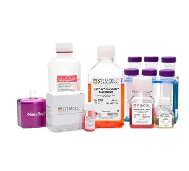 24985_Merch_P1_Product