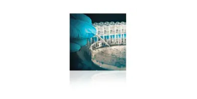 Relative Activity of OPTIZYME™ Restriction Enzymes