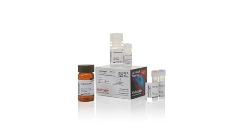 Cell Analysis Products