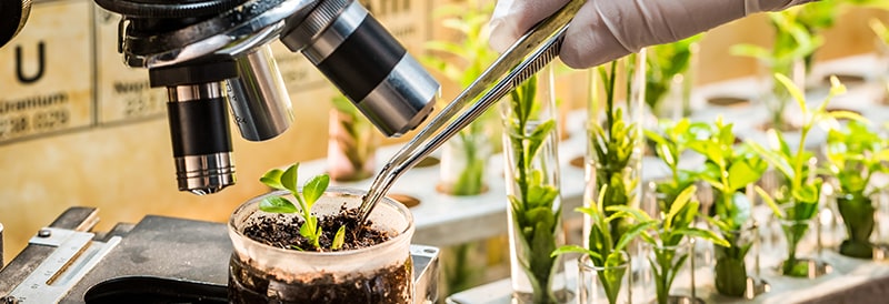 Agriscience and Agrochemicals Testing