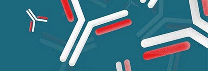 mAbs Process Playbook