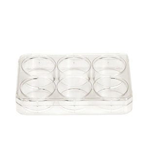 Thermo Scientific™ Nunc™ Cell-Culture Treated Multidishes