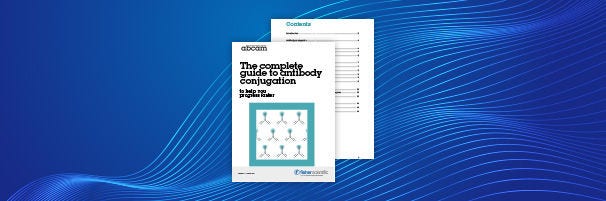 The Complete Guide to Antibody Conjugation