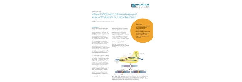 Validate CRISPR-Edited Cells using Imaging and Western Blot Detection on a Microplate Reader