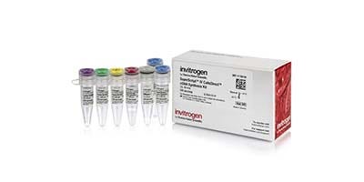 25766_Flexible_P3_Product