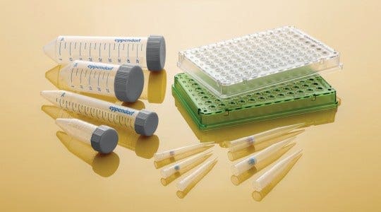 Small Tips - Big Impact