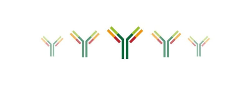 Antibody Buying Guide
