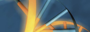 Chemikalien f&uuml;r die Nukleins&auml;uresynthese