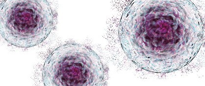 Les difficult&eacute;s li&eacute;es &agrave; l&rsquo;&eacute;quipement dans le cadre de la transition vers une production de masse dans les processus de th&eacute;rapie cellulaire