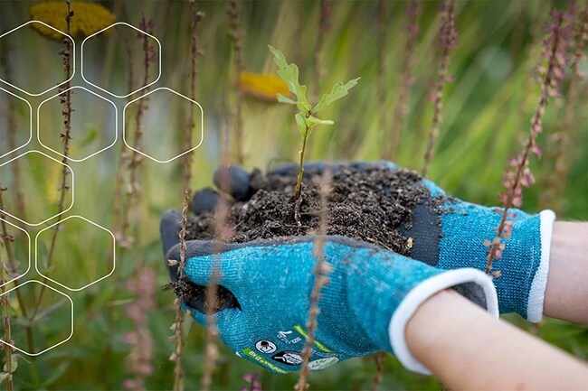 hands with gloves holding mud in a field