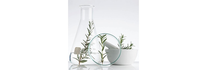 Strategies for a More Sustainable Lab