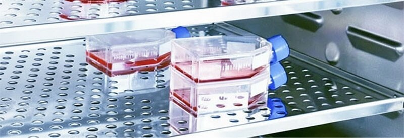 The Many Realms in Which CO2 Chambers Show Their Strengths