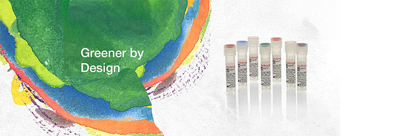 Greener Shipping: Ambient Advantage for Invitrogen Antibodies