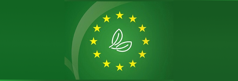 Navigating the EU’s New Sustainability Regulations in PPE