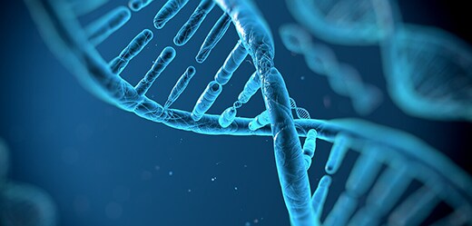 Gene Expression (mRNA) Analysis