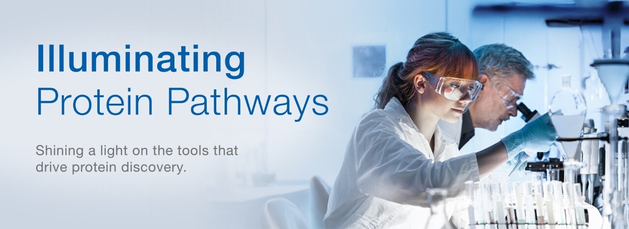 24148_Focus_on_Protein_Analysis_banner_page_desktop_EN 24148_Focus_on_Protein_Analysis_banner_page_desktop_EN