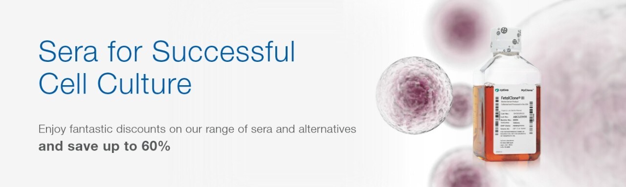 21691_FocusOn_LSC_web_banner_desktop_EN 21691_FocusOn_LSC_web_banner_desktop_EN