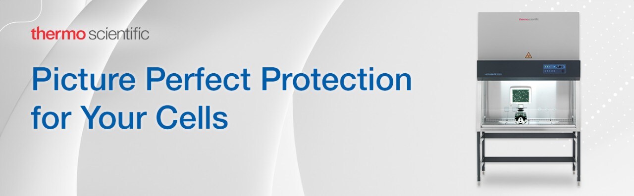 Buy 1 Get 1 for €1 Buy 1 Get 1 for €1