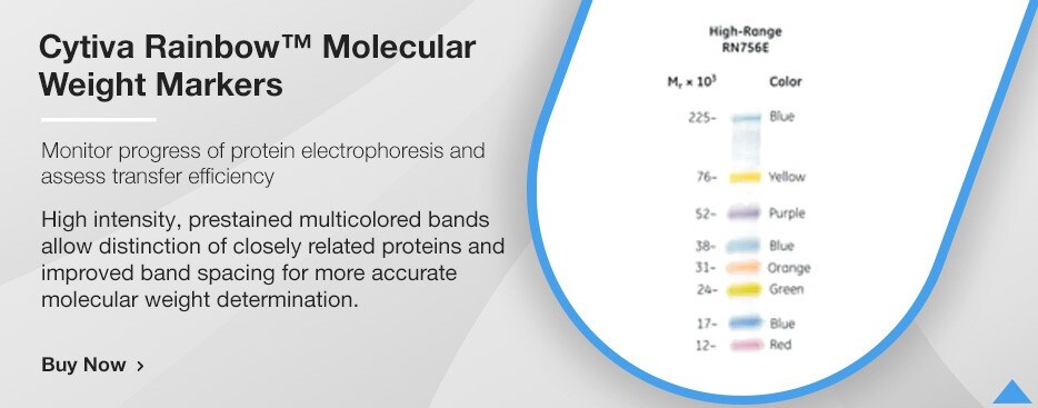 Cytiva Rainbow Molecular Weight Markers:Gel Electrophoresis Equipment and