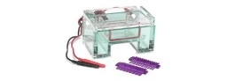Gel Electrophoresis Equipment and Supplies Gel Electrophoresis Equipment and Supplies