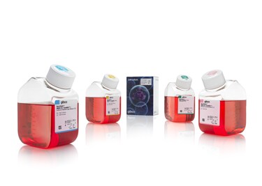 Gibco™ BenchStable™ Cell Culture Media Gibco™ BenchStable™ Cell Culture Media