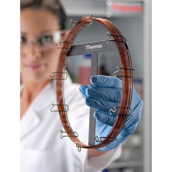 Trace_Gold_Columns Trace_Gold_Columns